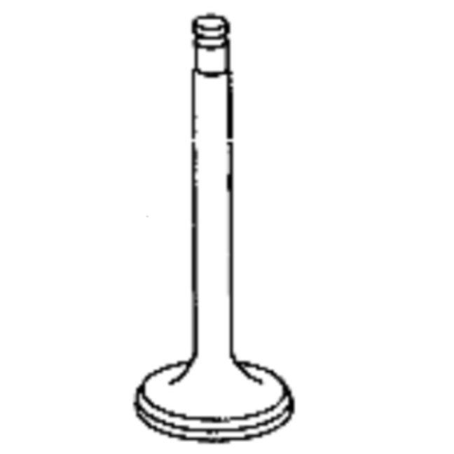 INTAKE VALVE