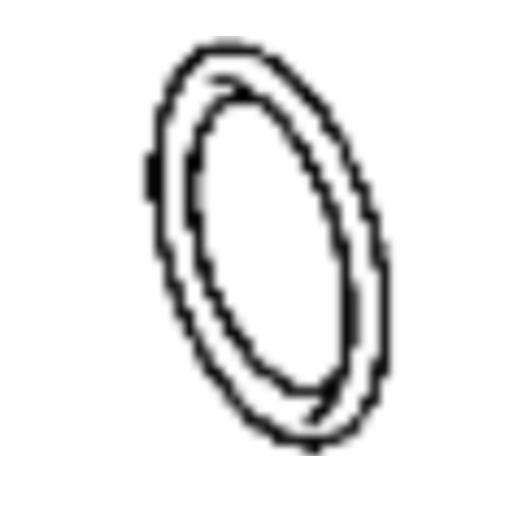 FUEL FEED PUMP O RING