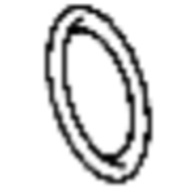 44.5 ID X 5.5 MM O-Ring (Charged Air Line)