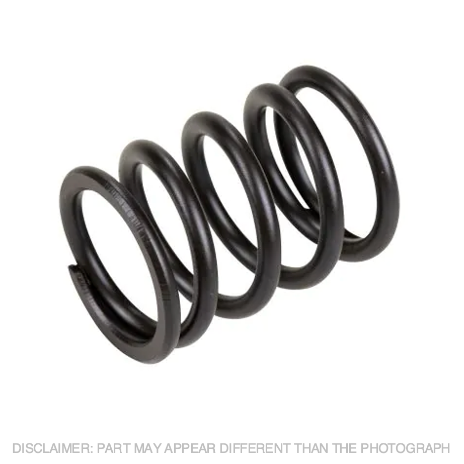 Intake Valve Spring